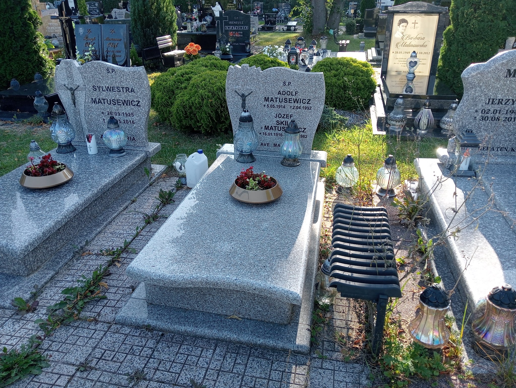 Grób Adolf Matusewicz